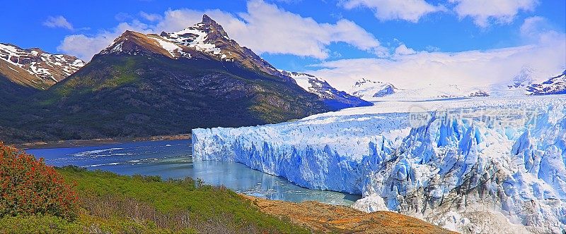 莫雷诺冰川和红色野花，阿根廷湖- El Calafate，巴塔哥尼亚